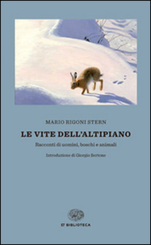 immagine decorativa: copertina del libro