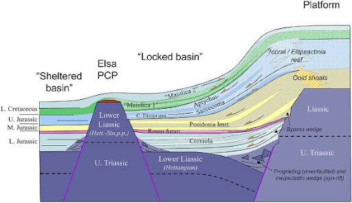 Ricostruzione schematica del margine nord-occidentale, sepolto, della Piattaforma Apula nell’intervallo Giurassico-Cretacico inferiore. L’esistenza di una piattaforma carbonatica pelagica (“Elsa PCP”) determinava da un lato l’accumulo di depositi provenienti dalla Piattaforma Apula entro uno spazio confinato, mentre dal lato opposto schermava un bacino dall’arrivo del materiale risedimentato, producendo una successione di pure pelagiti.