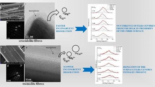 Immagine che mostra la differente cinetica di dissoluzione di fibre di tremolite e crocidolite in soluzione fisiologica