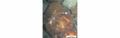 Diamante incluso in un granato eclogitico