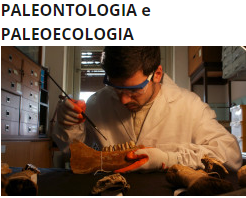 Vai alla pagine del gruppo di ricerca di Paleologia e Paleoecologia