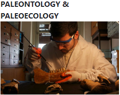 Go to page of Paleontology e Paleoecology