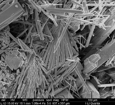 SEM micrograph of  nesquehonite crystals