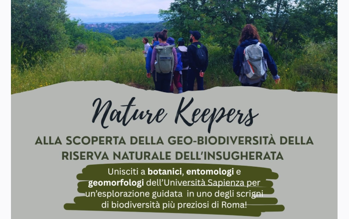 Vai alla notizia