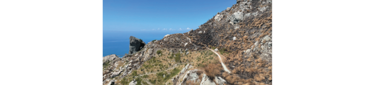 Mare, cielo e terreno boschivo incendiato